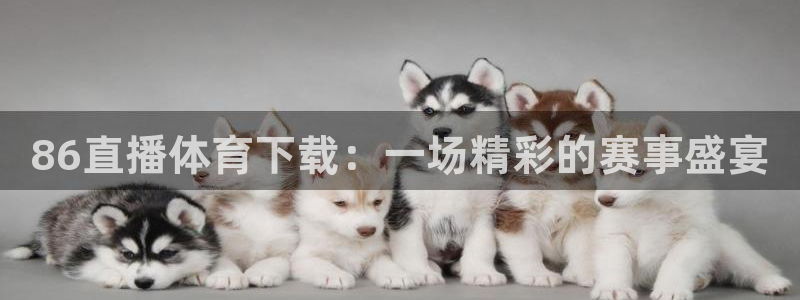球神直播间：86直播体育下载：一场精彩的赛事盛宴