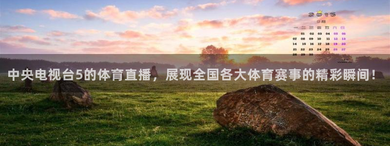 球神直播免费足球直播：中央电视台5的体育直播，展现全国各大体育赛事的精彩瞬间！