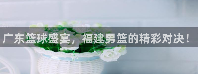 球神 直播：广东篮球盛宴，福建男篮的精彩对决！