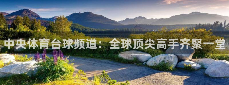 球神直播nba：中央体育台球频道：全球顶尖高手齐聚一堂