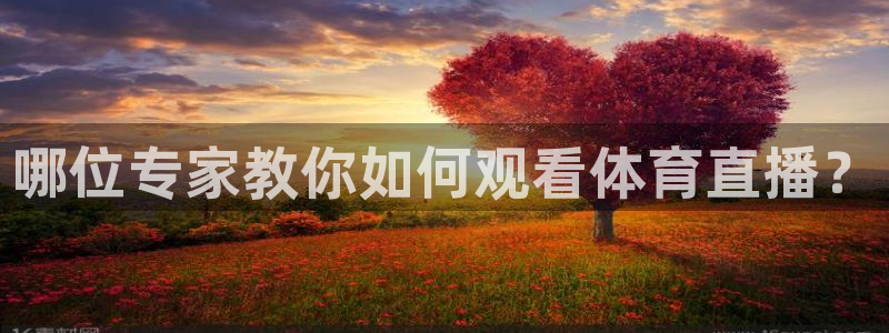 球神体育：哪位专家教你如何观看体育直播？