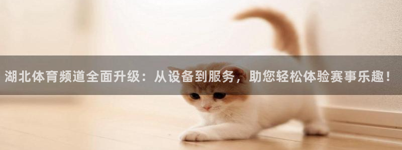 球神体育：湖北体育频道全面升级：从设备到服务，助您轻松体验赛事乐趣！
