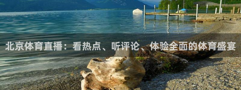 球神直播间