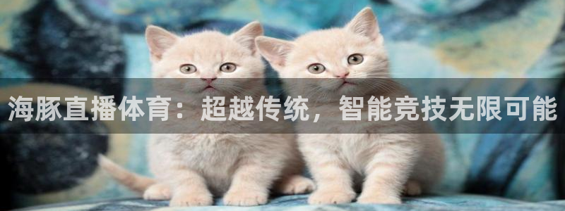 球神直播体育足球：海豚直播体育：超越传统，智能竞技无限可能