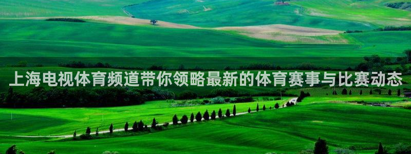 球神足球直播在线观看：上海电视体育频道带你领略最新的体育赛事与比赛动态
